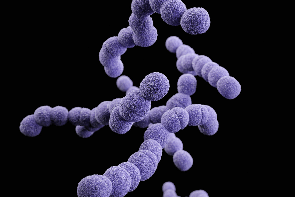 Low Fermentation Diet | Fodmap Diet For SIBO | Epicured