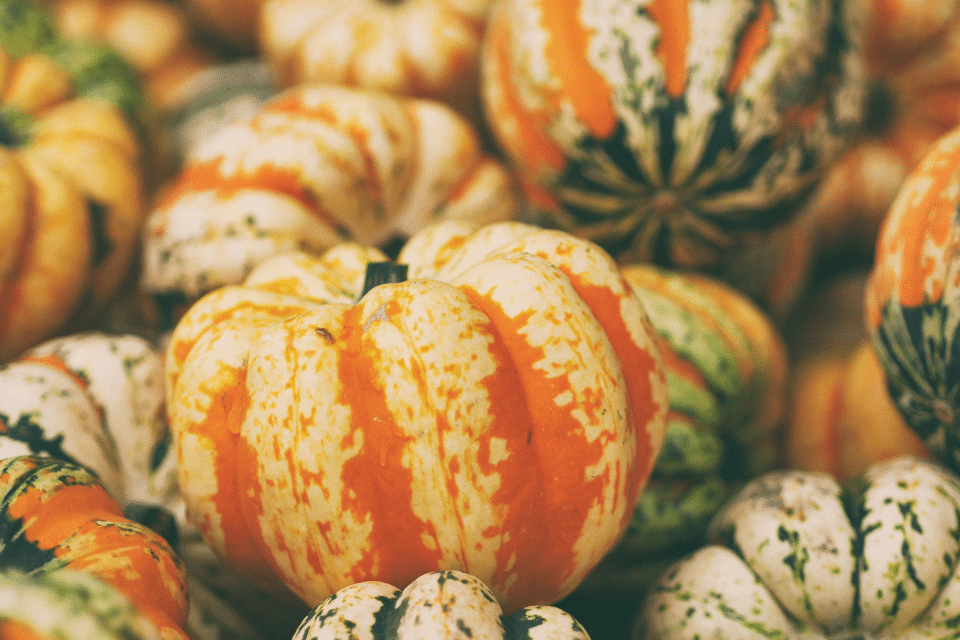 5 Fall Foods You Can Eat on a Low FODMAP Diet