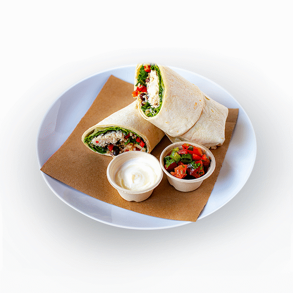 ENTRÉE_Chicken Burrito