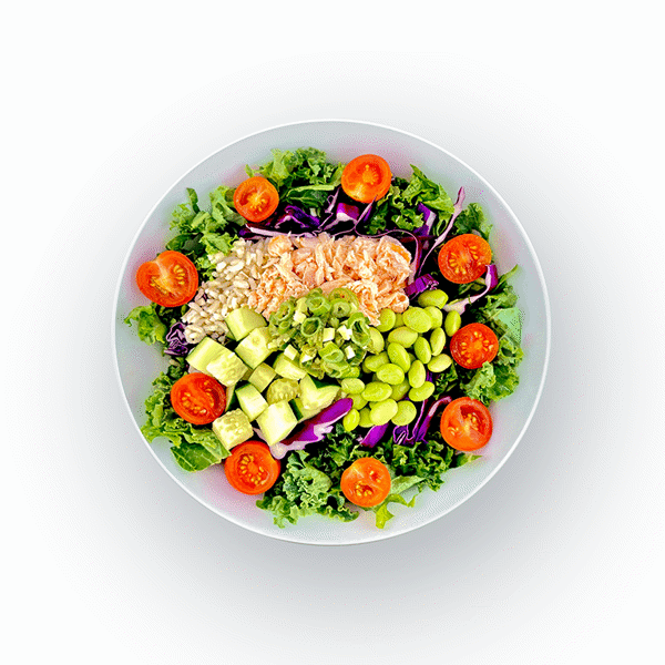 Salmon Protein Bowl