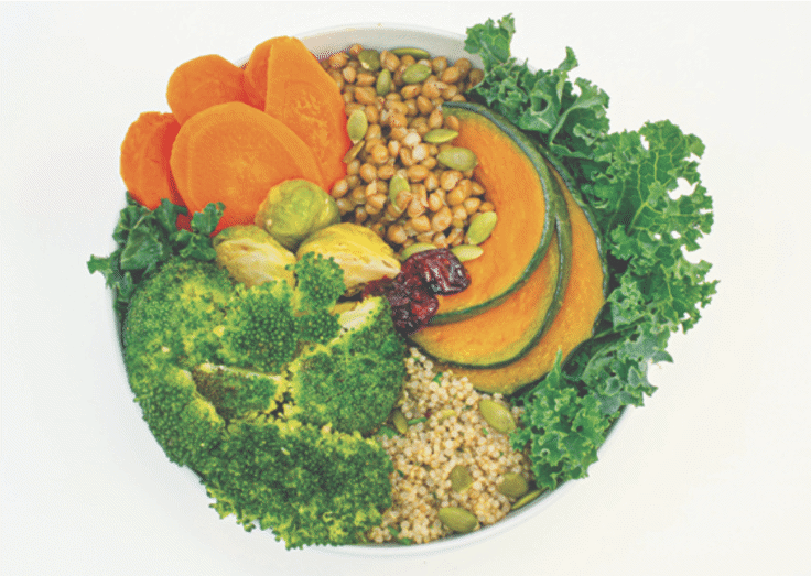 Plant-Based Vegan Bundle