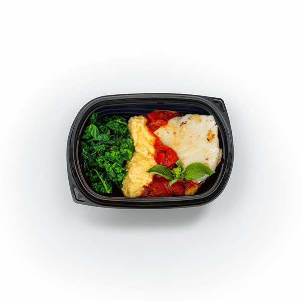 Mediterranean Sea Bass