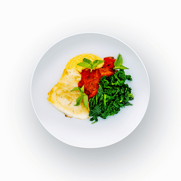 Mediterranean Sea Bass